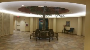 Replace CFL PL with LED Strip Light