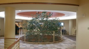 LED Cove Lighting / Tape Lighting / Strip Lights