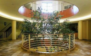 replacing CFL PL fixture with LED Tape Lighting