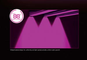 LED grow lighting vs. HID