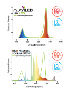 Traditional HPS Grow Lights vs LED