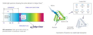 IndigoClean's Visible Light Spectrum