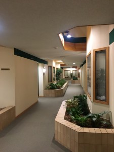 8" dimmable recessed cans