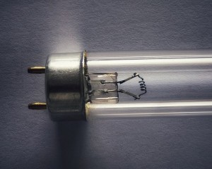 t8-germicidal-uvc-lamps