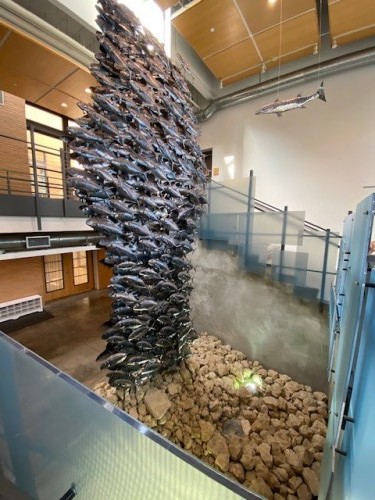 ground-well-light-before