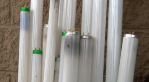 fluorescent T8 tubes soon to be banned!